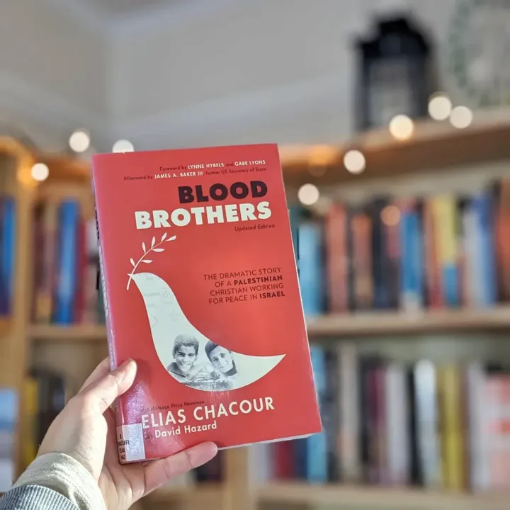 Blood brothers book cover