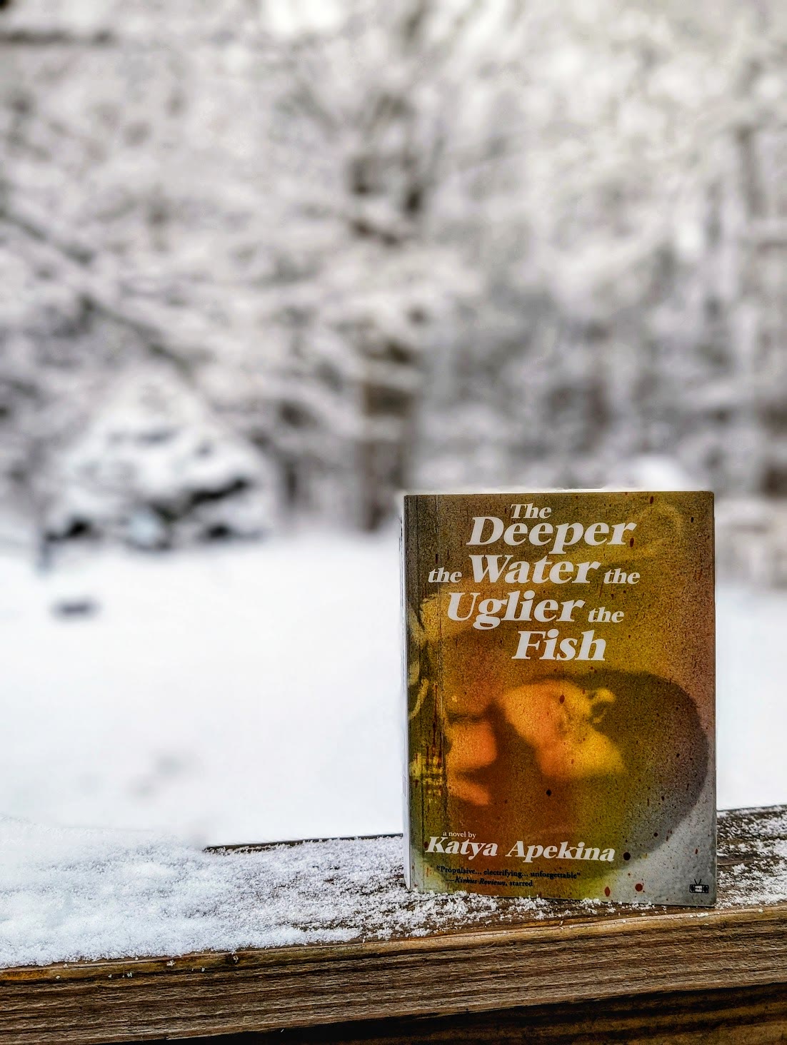 Deeper the Water by Jessamine Chan book cover — photographed by Toni Rocchetti, copy editor