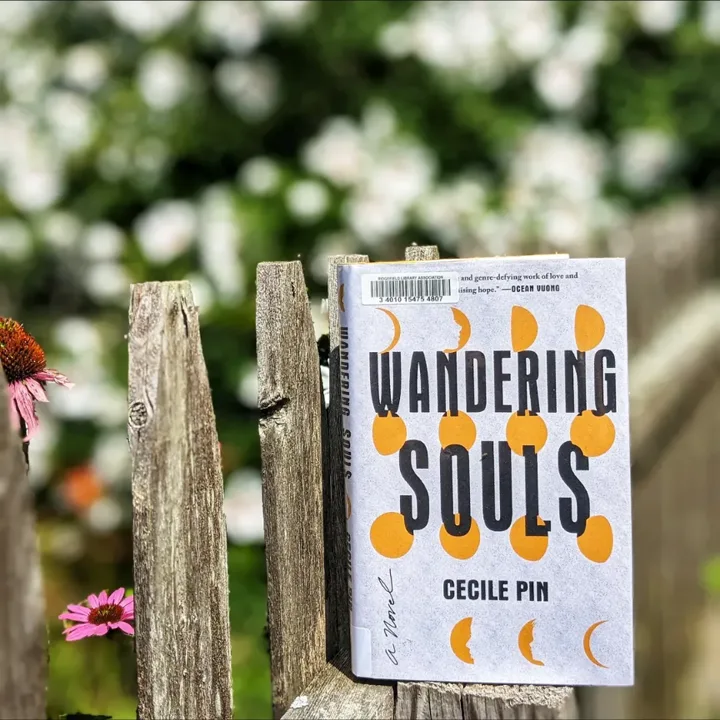 Wandering Souls book cover